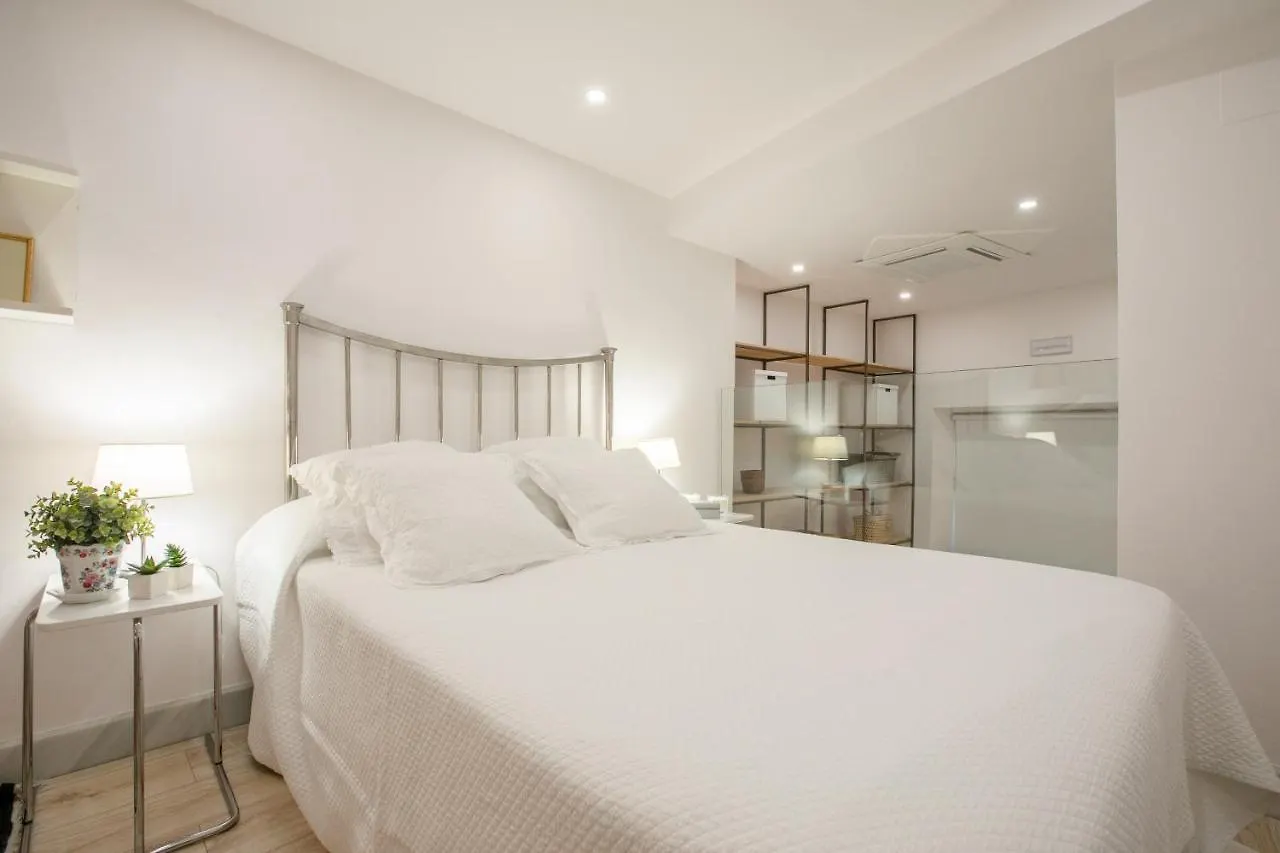 Loft Duplex Sevilla Wall Apartment